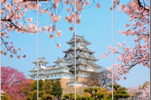 Каталог фотопечати - Китай и Япония