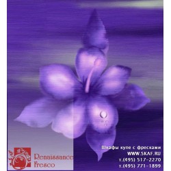 freska_art-collection_fiore_005