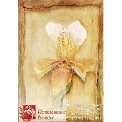 freska_art-collection_fiore_008