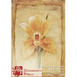 freska_art-collection_fiore_009