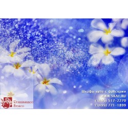 freska_art-collection_fiore_015