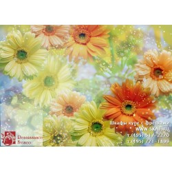 freska_art-collection_fiore_017