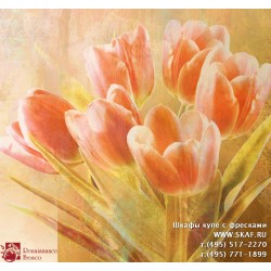 freska_art-collection_fiore_019