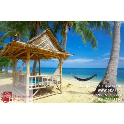 freska_morskoj-pejzazh_098