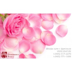 freska_photo-collection_cveti_001