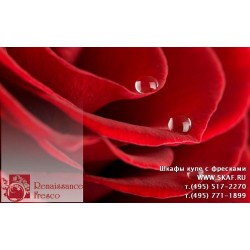 freska_photo-collection_cveti_002