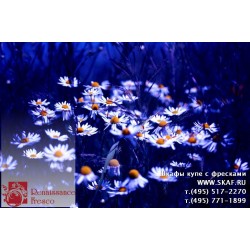 freska_photo-collection_cveti_009