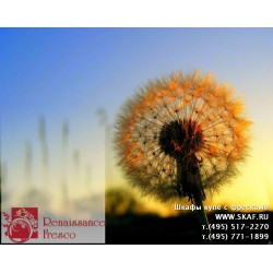 freska_photo-collection_cveti_010