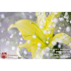 freska_photo-collection_cveti_015