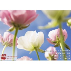 freska_photo-collection_cveti_021