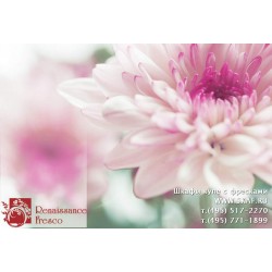 freska_photo-collection_cveti_025