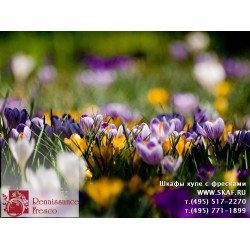 freska_photo-collection_cveti_029