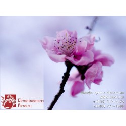 freska_photo-collection_cveti_032