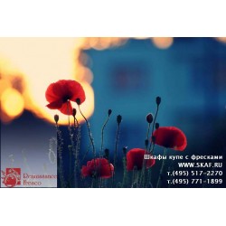 freska_photo-collection_cveti_046