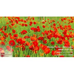 freska_photo-collection_cveti_051