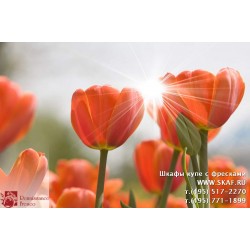 freska_photo-collection_cveti_055