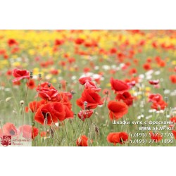 freska_photo-collection_cveti_056