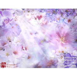 freska_photo-collection_cveti_060