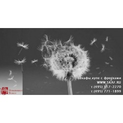 freska_photo-collection_cveti_061