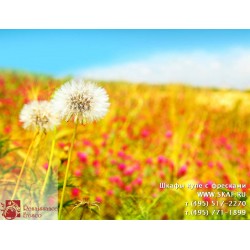 freska_photo-collection_cveti_063