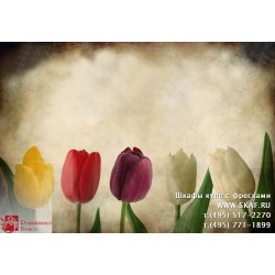 freska_photo-collection_cveti_064