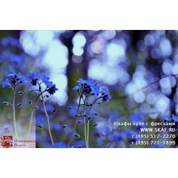 freska_photo-collection_cveti_065