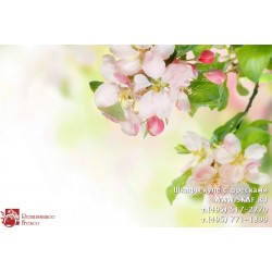 freska_photo-collection_cveti_067