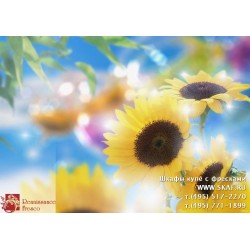 freska_photo-collection_cveti_069