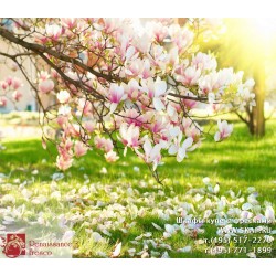 freska_photo-collection_cveti_074
