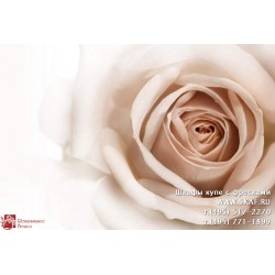 freska_photo-collection_cveti_090