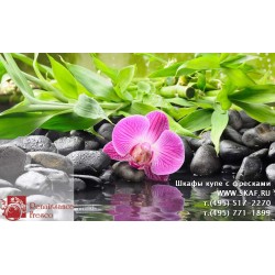 freska_photo-collection_cveti_091