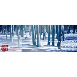 freska_photo-collection_priroda_003
