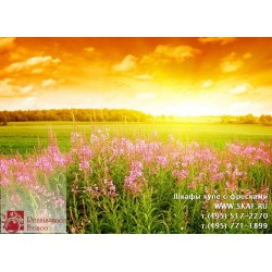 freska_photo-collection_priroda_017