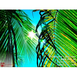 freska_photo-collection_priroda_025