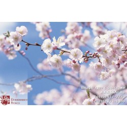 freska_photo-collection_priroda_034