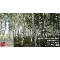 freska_photo-collection_priroda_040