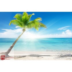 freska_photo-collection_priroda_055