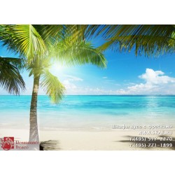 freska_photo-collection_priroda_056