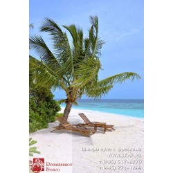 freska_photo-collection_priroda_067