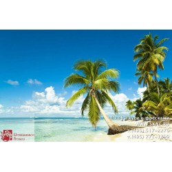 freska_photo-collection_priroda_079