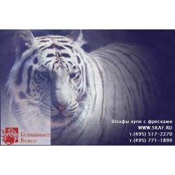 freska_photo-collection_zhivotnye_007