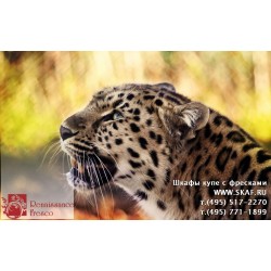 freska_photo-collection_zhivotnye_011