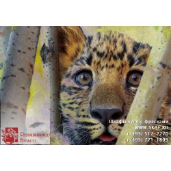 freska_photo-collection_zhivotnye_013