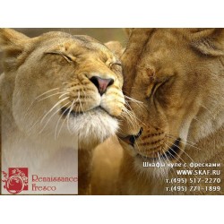 freska_photo-collection_zhivotnye_021