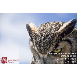 freska_photo-collection_zhivotnye_026