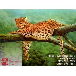freska_photo-collection_zhivotnye_027