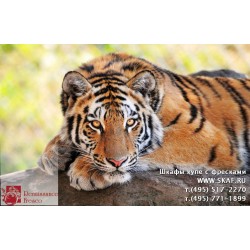 freska_photo-collection_zhivotnye_032