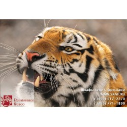 freska_photo-collection_zhivotnye_035