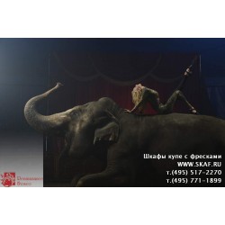 freska_photo-collection_zhivotnye_064