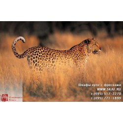 freska_photo-collection_zhivotnye_068